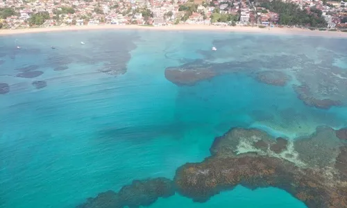 
          Imagem ilustrativa da imagem Praias de Pernambuco estão livres da Maré Vermelha
          
