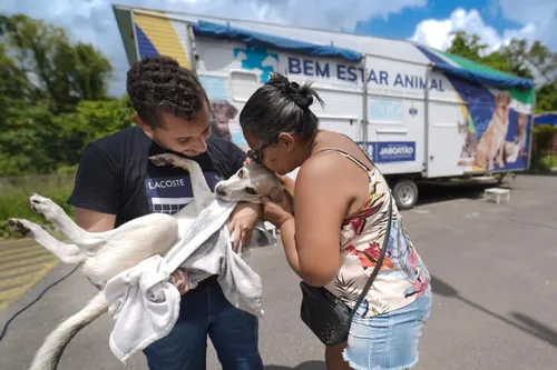 
          Imagem ilustrativa da imagem Prefeitura de Jaboatão dos Guararapes divulga calendário do Castramóvel
          