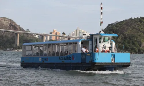 
          Imagem ilustrativa da imagem Rompimento de cabos de internet causa transtorno no Aquaviário em Vitória
          