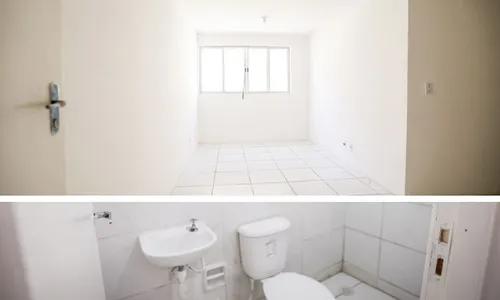 
          Imagem ilustrativa da imagem Rotina com ratos, baratas e até jacarés ficou no passado de 224 famílias do Recife
          