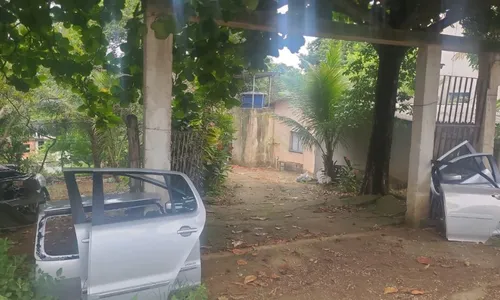 
          Imagem ilustrativa da imagem Suspeitos usam casa para desmanche de carros em Cariacica
          