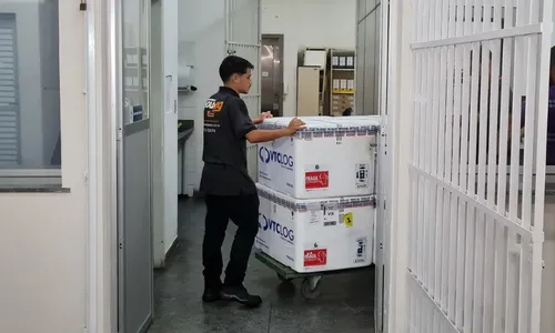 
          Imagem ilustrativa da imagem Vitória abre primeiro agendamento para vacinação contra a dengue nesta sexta-feira
          