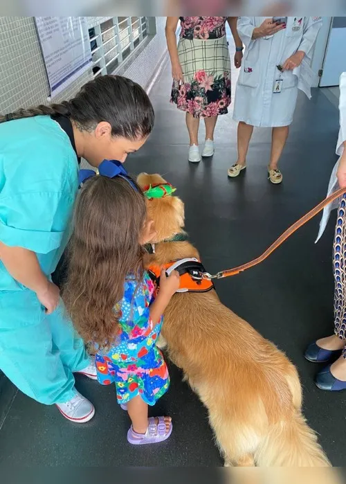 Imagem ilustrativa da imagem "Cãoterapeuta" visita crianças internadas no Hospital Infantil de Vitória