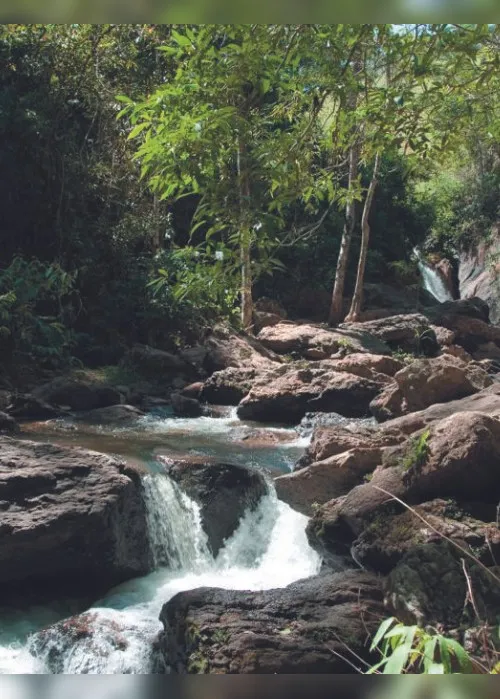
          Imagem ilustrativa da imagem Festivais de verão com 40 shows em Guarapari
          