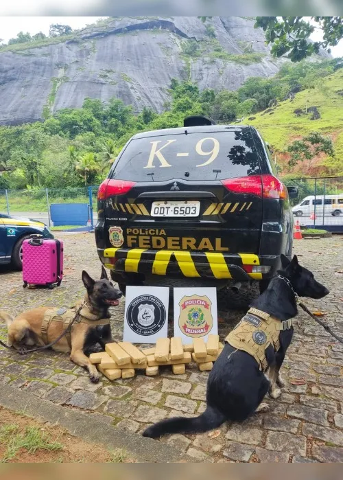 Imagem ilustrativa da imagem Mulher é presa com 18 tabletes de maconha dentro de mala em ônibus na BR-101 no ES