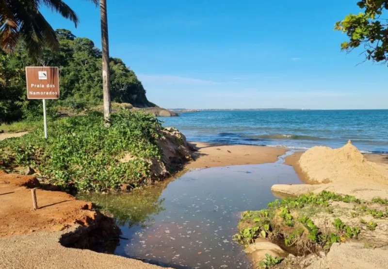 Praia dos Namorados, em Anchieta, onde trecho da mata passa a ser protegido por decreto ambiental
