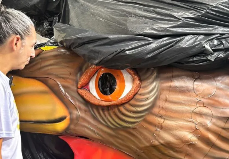 O Galo da Madrugada já está com os olhinhos abertos, à espera do maior carnaval de rua do mundo.