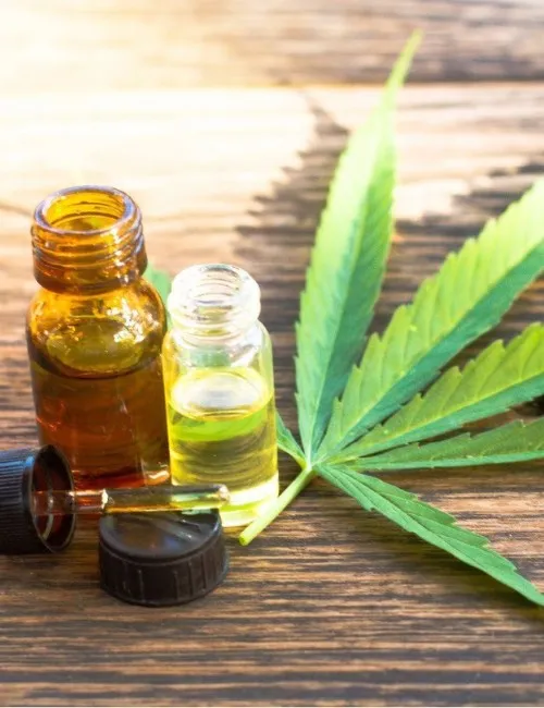 Imagem ilustrativa da imagem “A cannabis veio para revolucionar a medicina”, afirma médico
