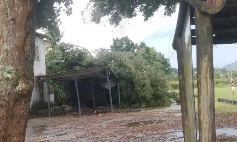 Imagem ilustrativa da imagem Temporal derruba cobertura de ginásio e destelha casas no Sul do ES