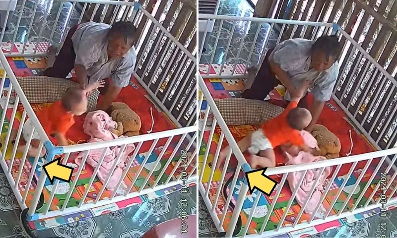 Imagem ilustrativa da imagem Avó salva bebê de ataque de cobra em cercadinho na Tailândia; veja vídeo