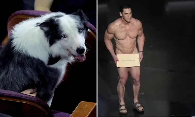 Imagem ilustrativa da imagem Bastidores do Oscar 2024: ator pelado e cão roubam a cena