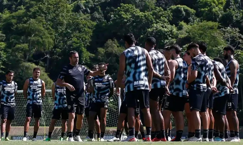 Imagem ilustrativa da imagem Botafogo recebe no Engenhão o Atlético-GO em busca da reabilitação no Brasileirão