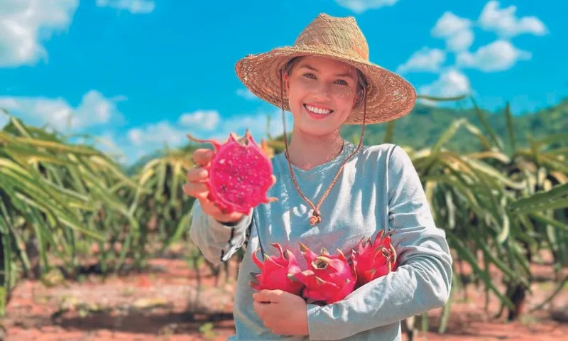 Imagem ilustrativa da imagem Candidata a Miss Universo Espírito Santo com experiência no campo