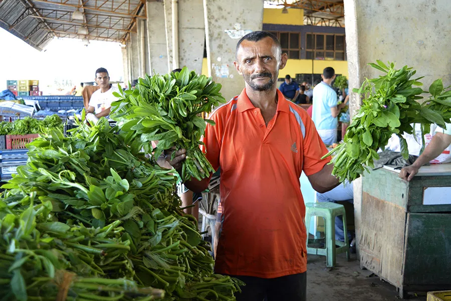 Imagem ilustrativa da imagem Ceasa-PE promove a Feira do Bredo para ofertar o produto mais barato à população
