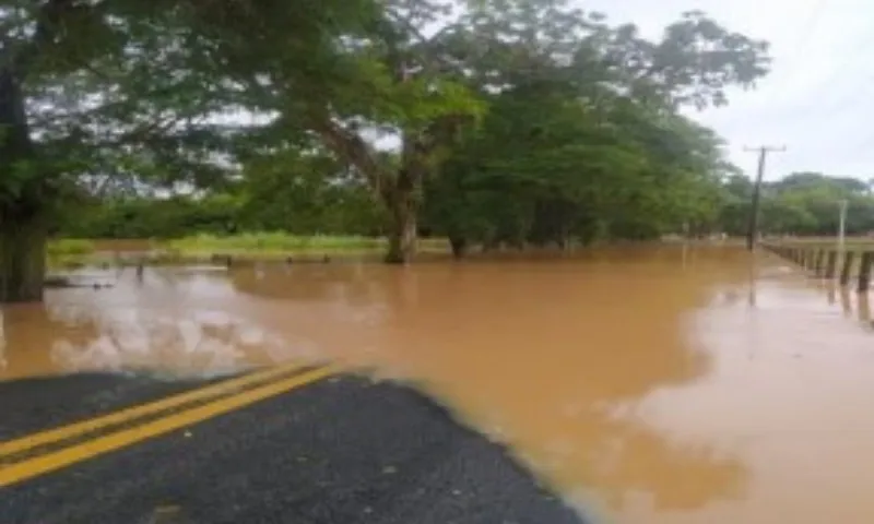 Imagem ilustrativa da imagem Chuva provoca erosão e alagamentos em rodovias do ES. Veja estradas atingidas