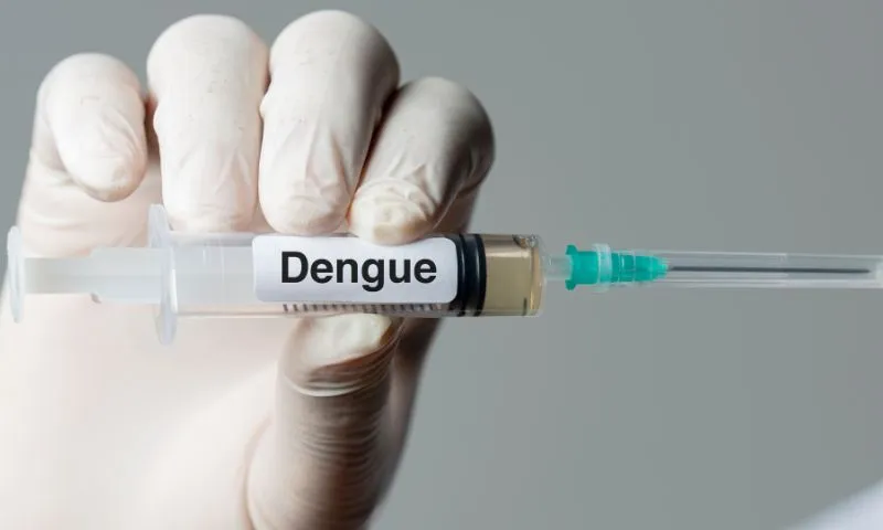 Imagem ilustrativa da imagem Confira a lista dos municípios de Pernambuco que receberão a vacina contra dengue