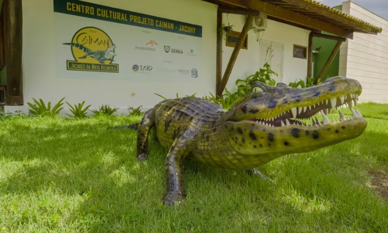 Imagem ilustrativa da imagem Cultura e natureza em novo espaço na Serra