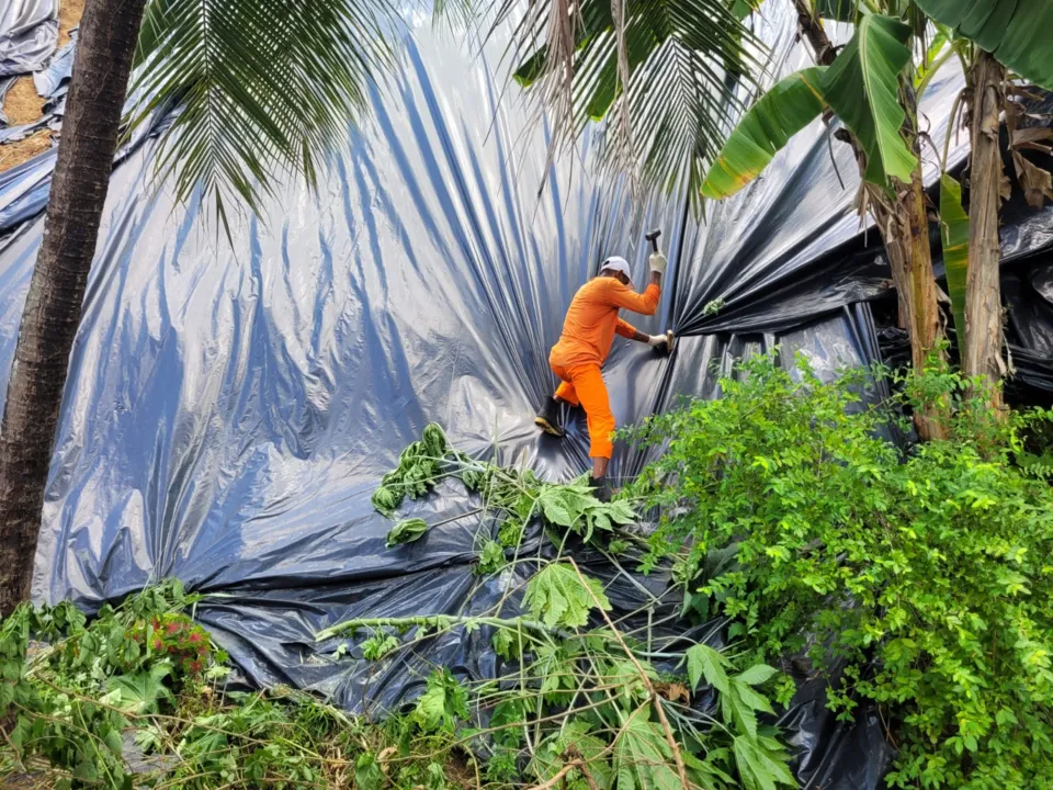 Imagem ilustrativa da imagem Defesa Civil faz mutirão para proteção preventiva em áreas de morro no Recife