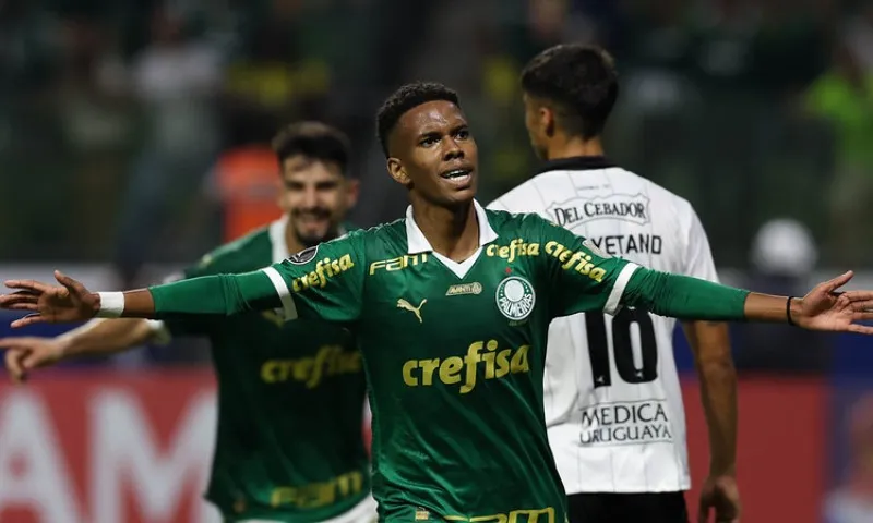 Imagem ilustrativa da imagem Estêvão brilha e comanda vitória de virada do Palmeiras na Libertadores