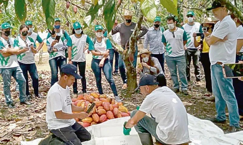 Imagem ilustrativa da imagem Herdeiros no agronegócio: programa para planejar a sucessão no meio rural