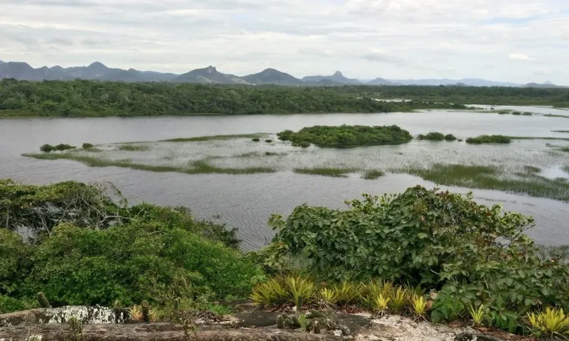 Imagem ilustrativa da imagem MPF pede à Justiça desocupação de imóveis em área ambiental de Guarapari