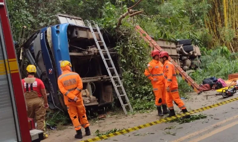 Imagem ilustrativa da imagem Motorista de ônibus que capotou em MG diz que tentou desviar de cães na via