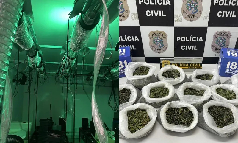 Imagem ilustrativa da imagem Polícia encontra laboratório para cultivo de maconha na Serra