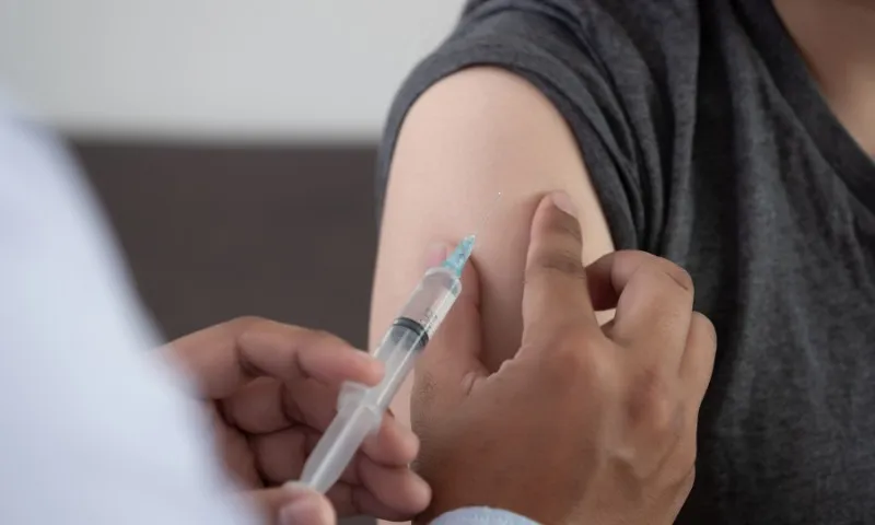Imagem ilustrativa da imagem Vacinas tratam o mal pela raiz