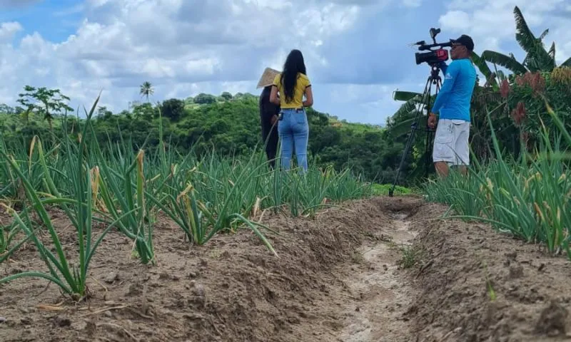 Imagem ilustrativa da imagem Programa Notícias no Campo: Gravatá, Vitória, Glória de Goitá em foco