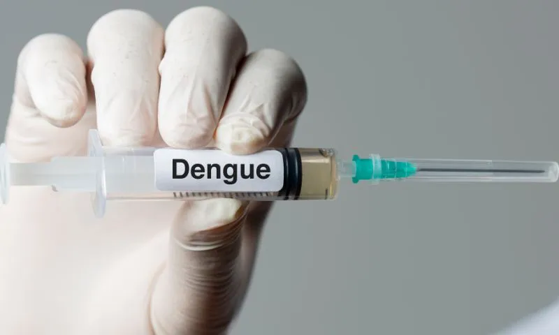 Imagem ilustrativa da imagem Recife contra a Dengue: Campanha de Vacinação começa nesta terça-feira: veja locais
