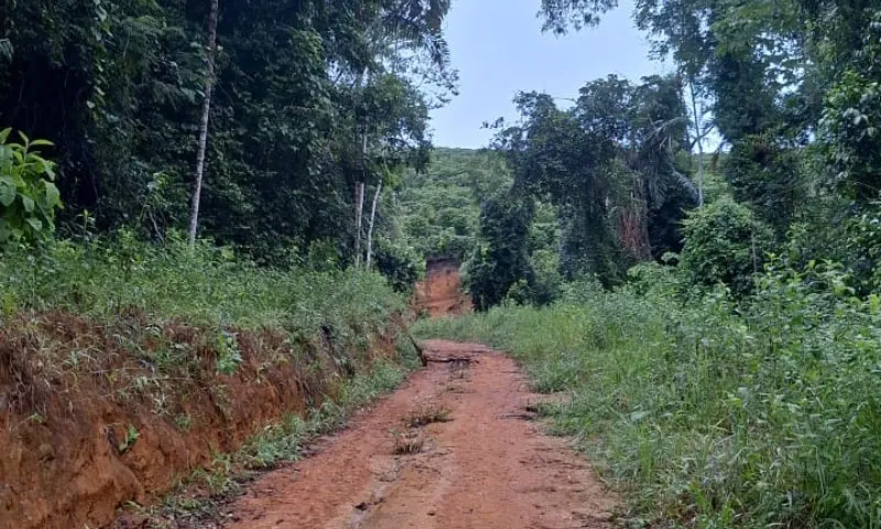 Imagem ilustrativa da imagem Suspeito de matar jovem no ES é preso e diz para polícia local onde enterrou corpo