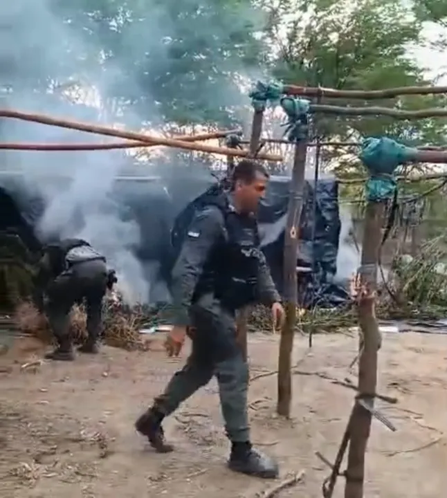 Imagem ilustrativa da imagem VÍDEO: Polícia Civil apreende 1 tonelada de maconha no Sertão