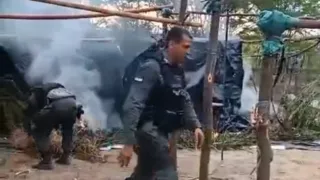 Imagem ilustrativa da imagem VÍDEO: Polícia Civil apreende 1 tonelada de maconha no Sertão