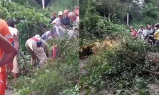 Imagem ilustrativa da imagem Árvore cai, atinge motocicleta e deixa mulher ferida em Muqui