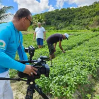 Imagem ilustrativa da imagem Camarão, bredo e hortaliças orgânicas são alguns dos temas do Notícias do Campo