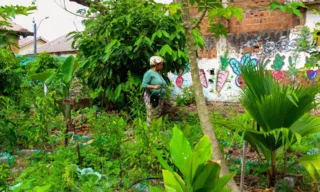 Imagem ilustrativa da imagem Grande Recife vai ganhar primeira Escola de Agriculturas Urbanas e Periurbanas