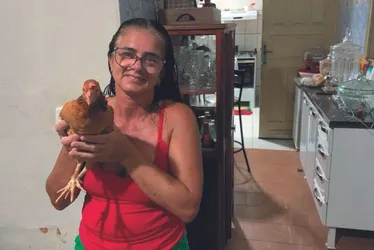 Imagem ilustrativa da imagem Agricultora adota galinha como pet: "Me livrou da depressão"