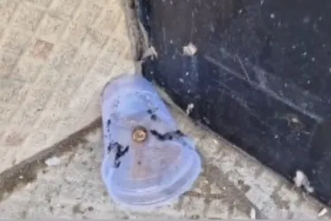 Imagem ilustrativa da imagem Ataque a tiros deixa quatro pessoas baleadas em Vila Velha