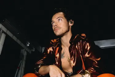 Imagem ilustrativa da imagem Brasileira que enviou 8 mil cartas a Harry Styles é condenada à prisão