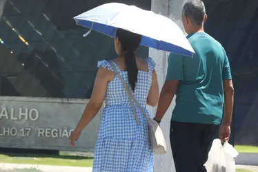 Imagem ilustrativa da imagem Calorão de cinco graus acima da média já preocupa especialistas