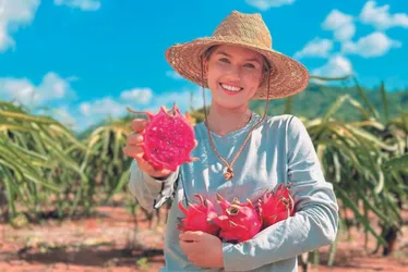 Imagem ilustrativa da imagem Candidata a Miss Universo Espírito Santo com experiência no campo