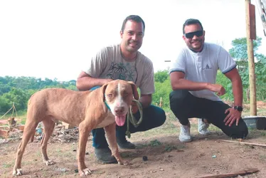 Imagem ilustrativa da imagem Cão deixado em imóvel já tem nova família
