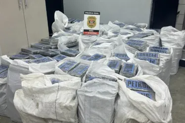 Imagem ilustrativa da imagem Carga de cocaína avaliada em R$ 500 milhões é apreendida