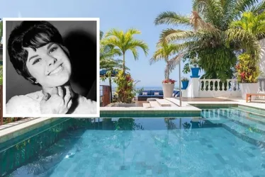 Imagem ilustrativa da imagem Casa que foi de Elis Regina no Rio de Janeiro está à venda por R$ 8 milhões