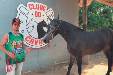 Imagem ilustrativa da imagem Cavalos movimentam R$ 13 milhões no ES