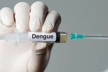 Imagem ilustrativa da imagem Confira a lista dos municípios de Pernambuco que receberão a vacina contra dengue