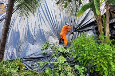 Imagem ilustrativa da imagem Defesa Civil faz mutirão para proteção preventiva em áreas de morro no Recife