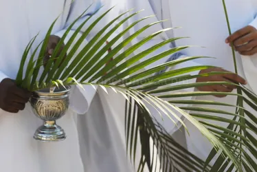 
          Imagem ilustrativa da imagem Dia de missa e procissão de ramos nas paróquias
          