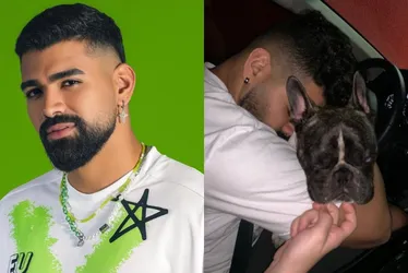 Imagem ilustrativa da imagem Dilsinho lamenta morte de seu cão Diego: 'Me tirou da solidão'