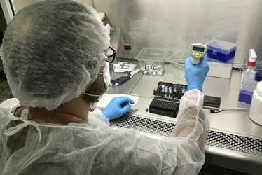 Imagem ilustrativa da imagem ES já realizou mais de 48 mil testes para detecção de dengue este ano